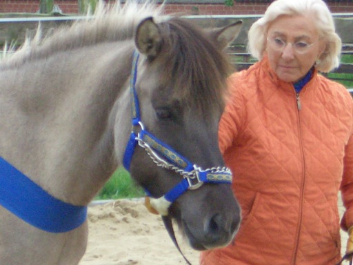 TTEAM III-5 Jungpferde Burgdorf 235 Kopie