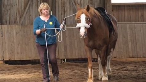 1458841_499835100132796_1072249979_n